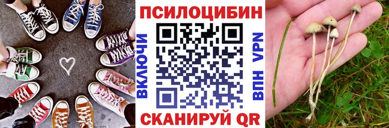 купить наркотик  ссылка на мегу вход  Галлюциногенные грибы прущие грибы  Козьмодемьянск 